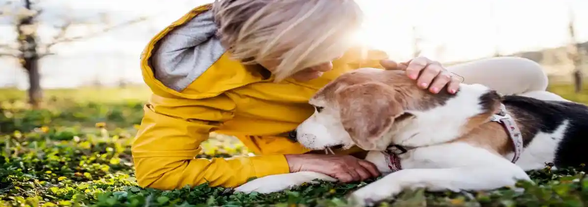 Cremazione privata di animali domestici a Palermo