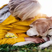 Cremazione privata di animali domestici a Palermo