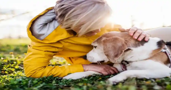 Cremazione privata di animali domestici a Palermo