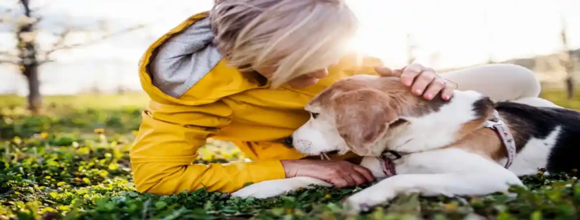 Cremazione privata di animali domestici a Palermo