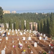 Gestione cimiteri a Palermo: servizi cimiteriali, gestione dei rifiuti speciali e cremazione degli animali